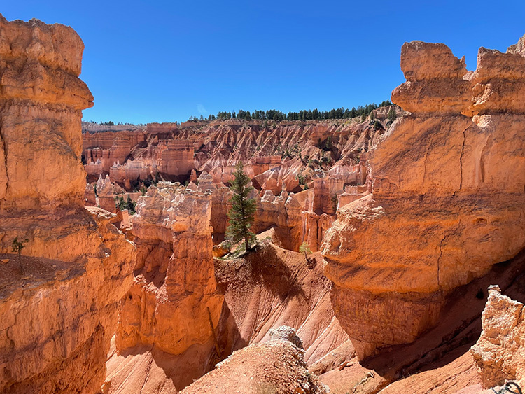 Vistas durante el senderismo en Bryce Canyon