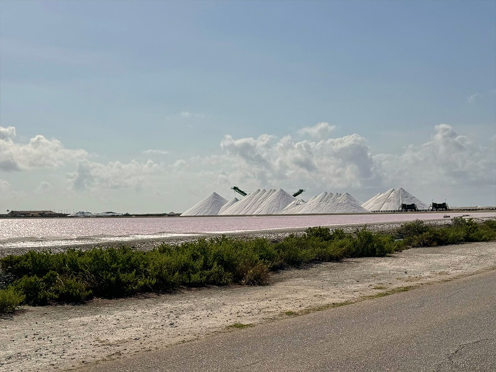 Las salinas de Bonaire