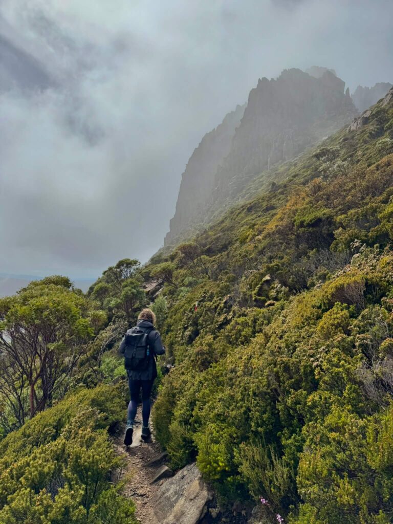 Our hiking plans Cradle Mountain