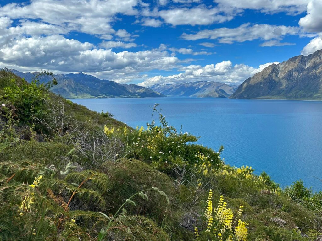La carretera alrededor de Wanaka