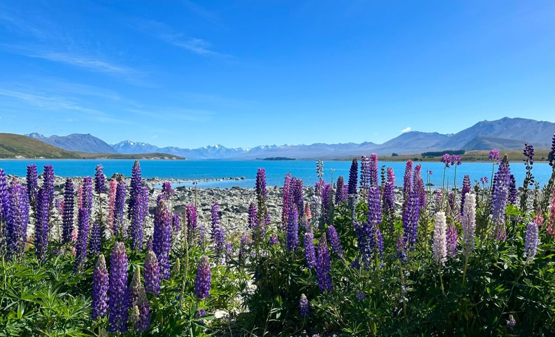 Lake Tekapo