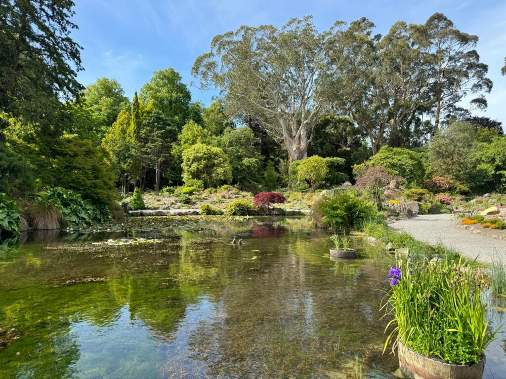 Botanical gardens Christchurch NZ