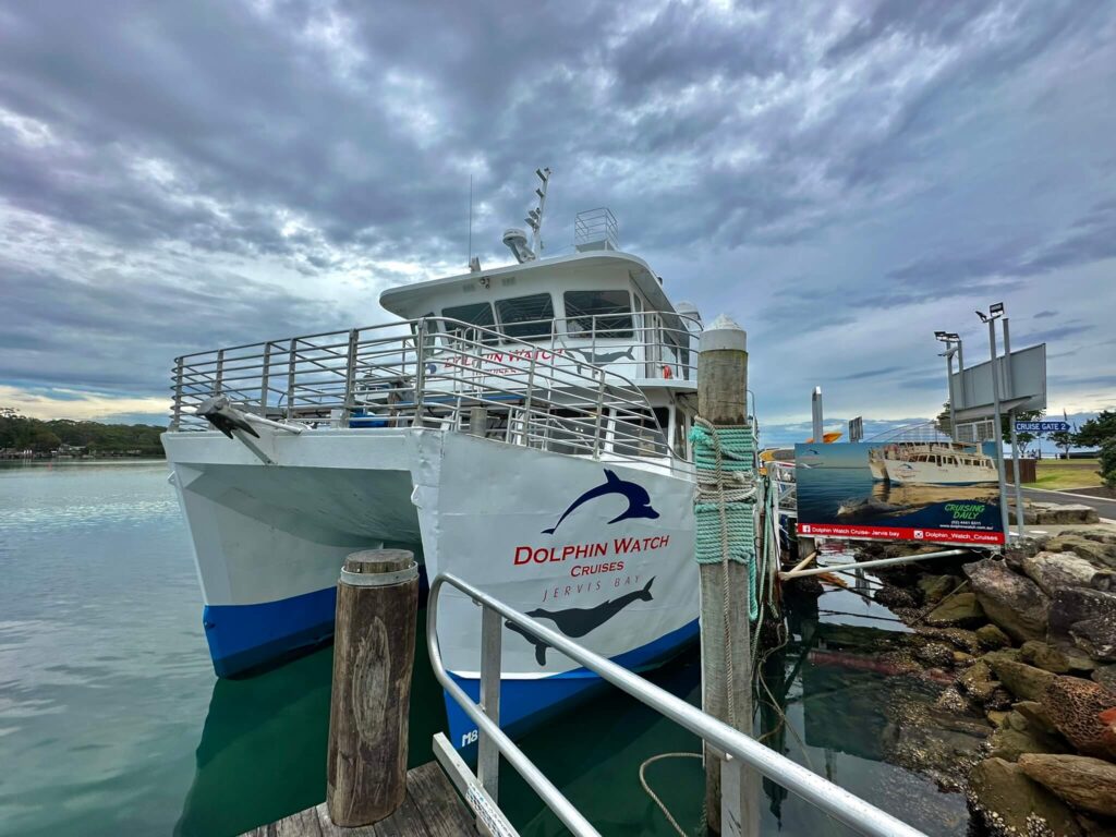 La barca per il dolphin cruise Jervis Bay Australia