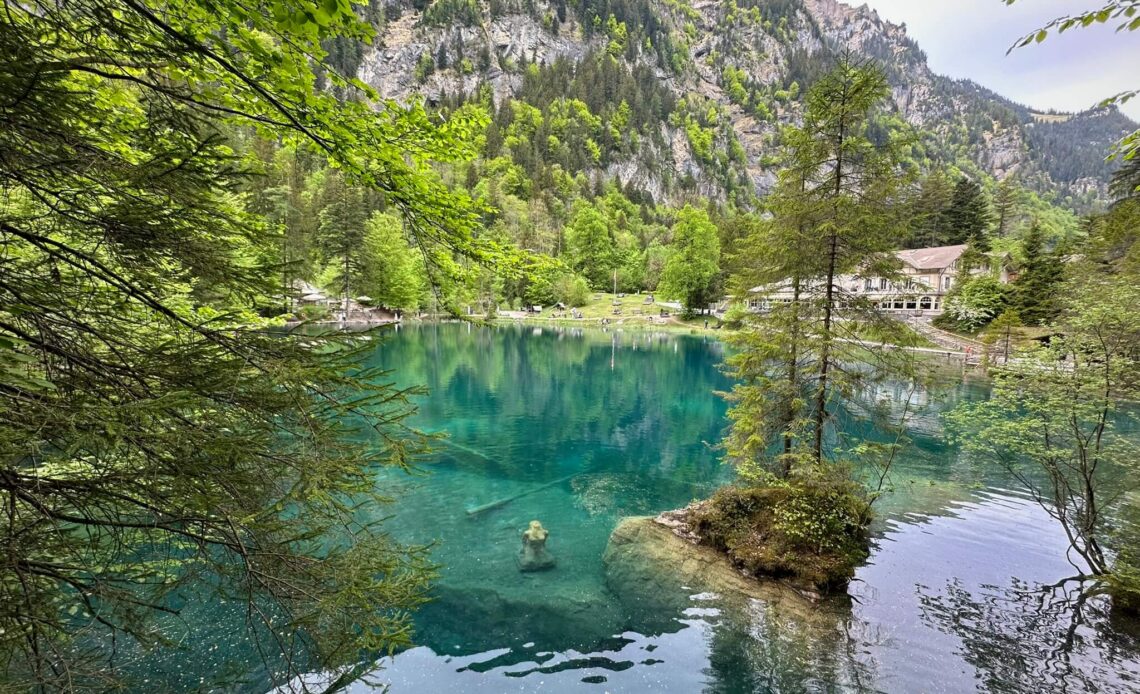 Blausee in Switzerland: bright blue lake with trout near Kandersteg