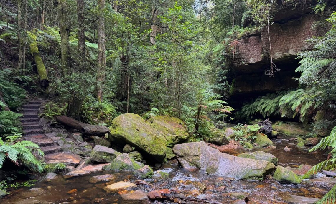 Grand Canyon Track in the Blue Mountains: our experience + tips